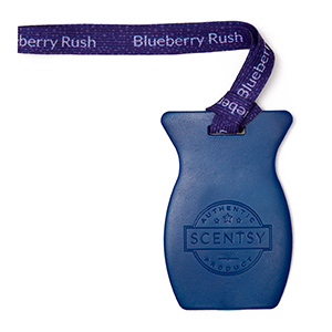 Blueberry Rush Scentsy Car Bar